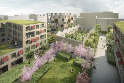 150616_Progetto Flaminio_Gruppo KCAP_Giardini Menabrea.jpg